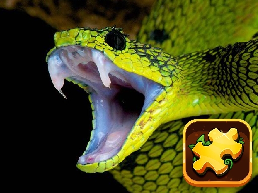 Snake Puzzle Challenge Game Image Snake Puzzle Challenge Game
