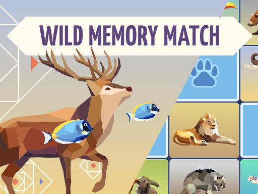 Wild Memory Match Game